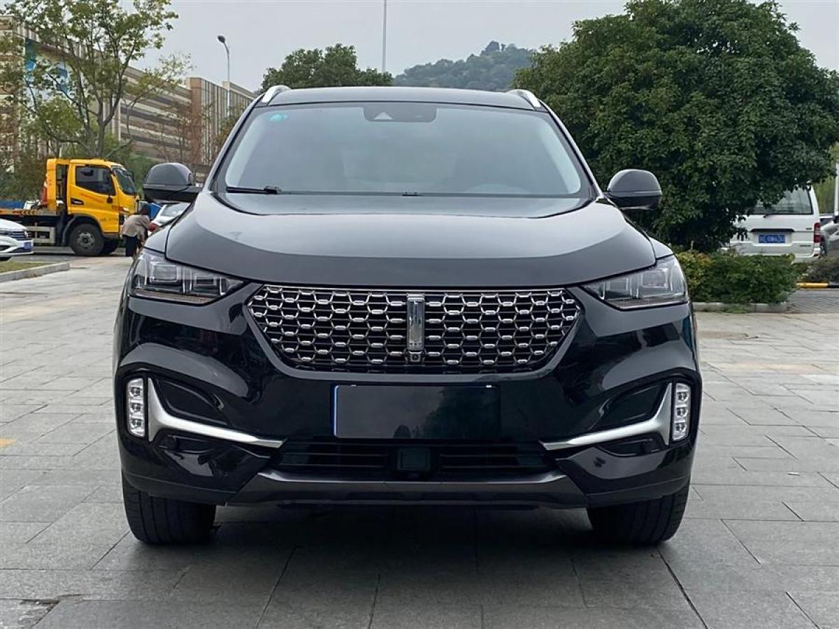 WEY VV6  2020款 2.0T 兩驅(qū)智護+圖片