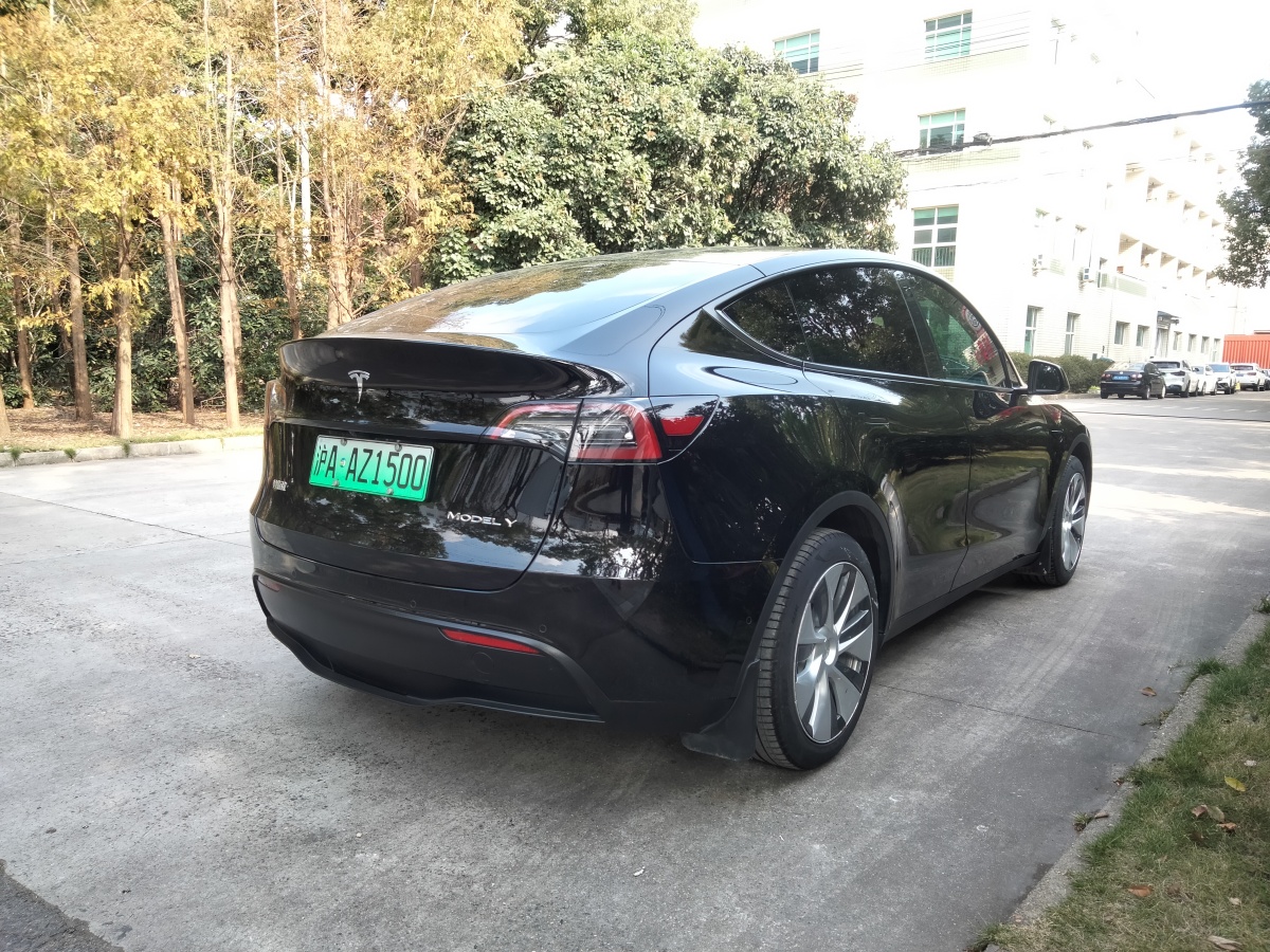 特斯拉 Model 3  2022款 后輪驅(qū)動(dòng)版圖片