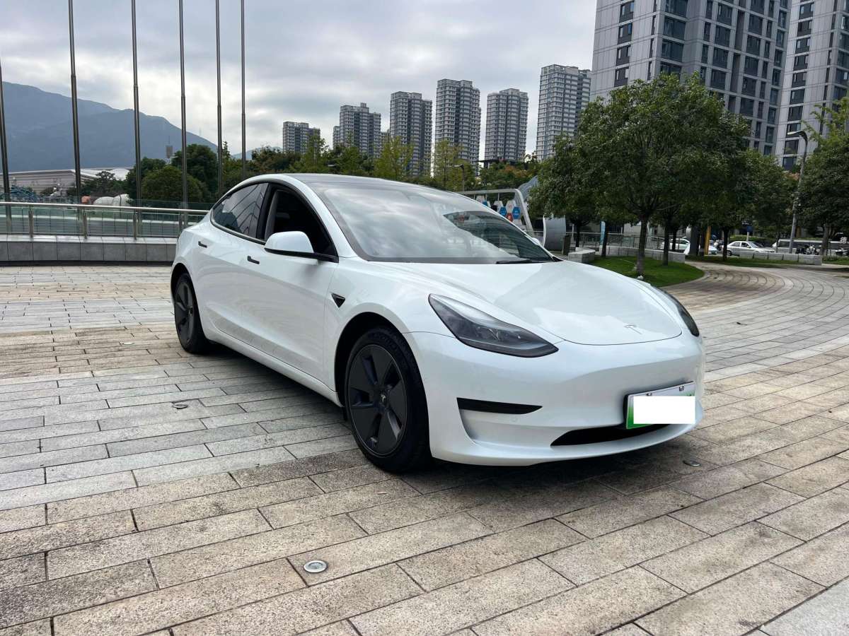 2022年3月特斯拉 Model Y  2021款 標(biāo)準(zhǔn)續(xù)航后驅(qū)升級版 3D6