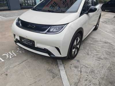2024年3月 比亞迪 海豚 榮耀版 420km 時(shí)尚版圖片