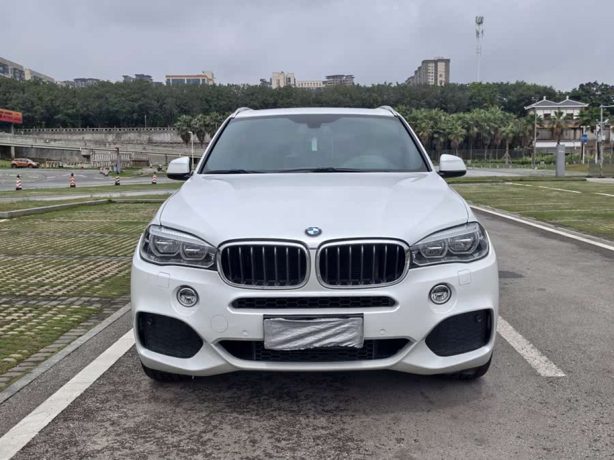 寶馬 寶馬X5  2017款 xDrive35i M豪華運(yùn)動型圖片
