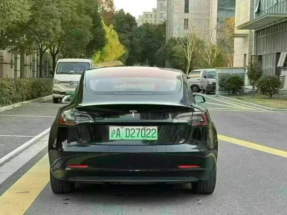 特斯拉 Model 3  2019款 長續(xù)航后驅(qū)版圖片