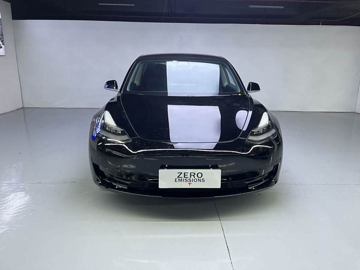 2021年1月特斯拉 Model 3  2021款 標(biāo)準(zhǔn)續(xù)航后驅(qū)升級(jí)版 3D6