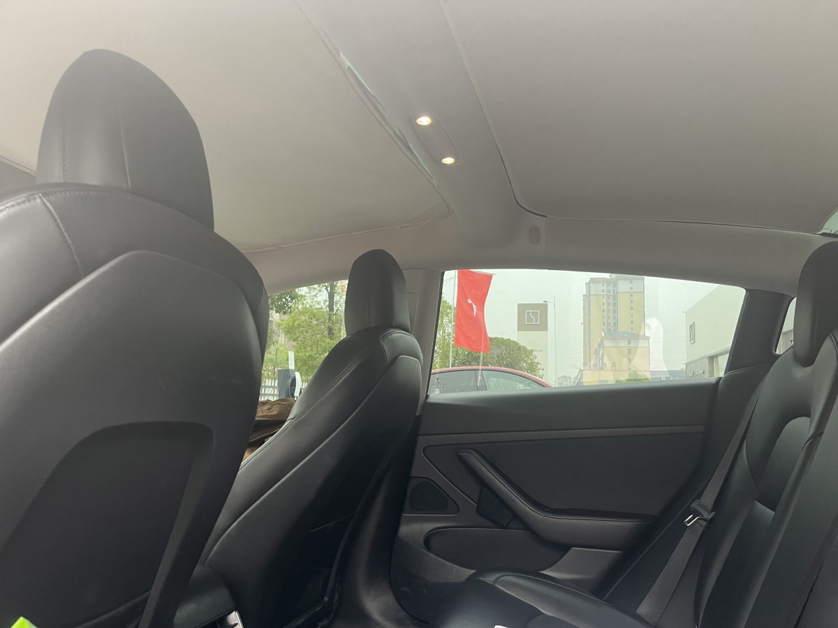 特斯拉 Model 3  2019款 標(biāo)準(zhǔn)續(xù)航后驅(qū)升級(jí)版圖片