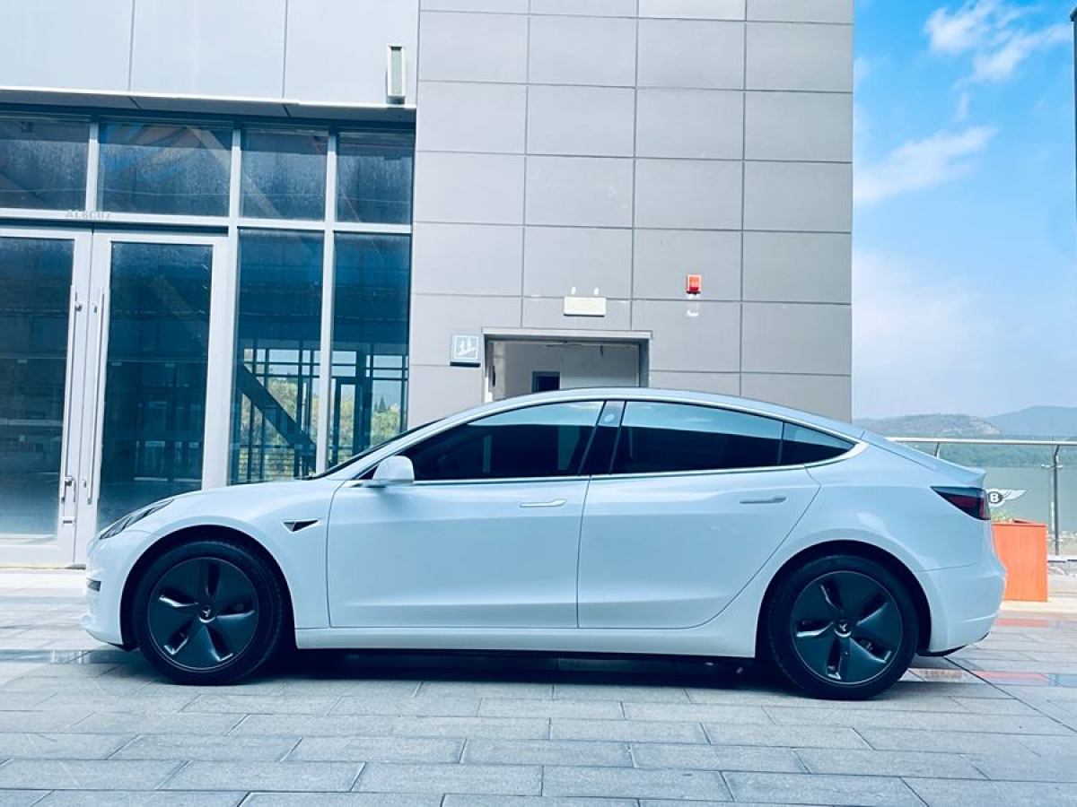 特斯拉 Model 3  2021款 改款 標準續(xù)航后驅(qū)升級版圖片