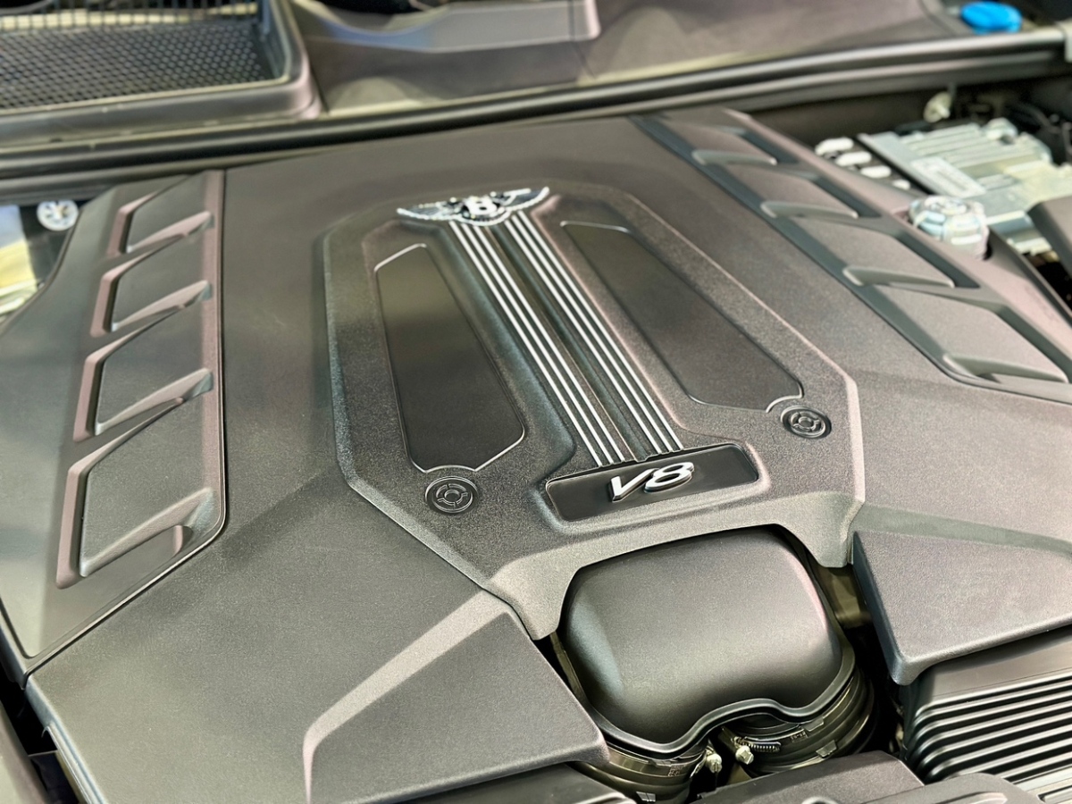宾利 添越  2023款 4.0T V8 长轴距版图片