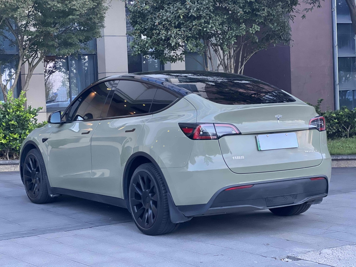 特斯拉 Model Y  2021款 改款 標(biāo)準(zhǔn)續(xù)航后驅(qū)升級(jí)版圖片