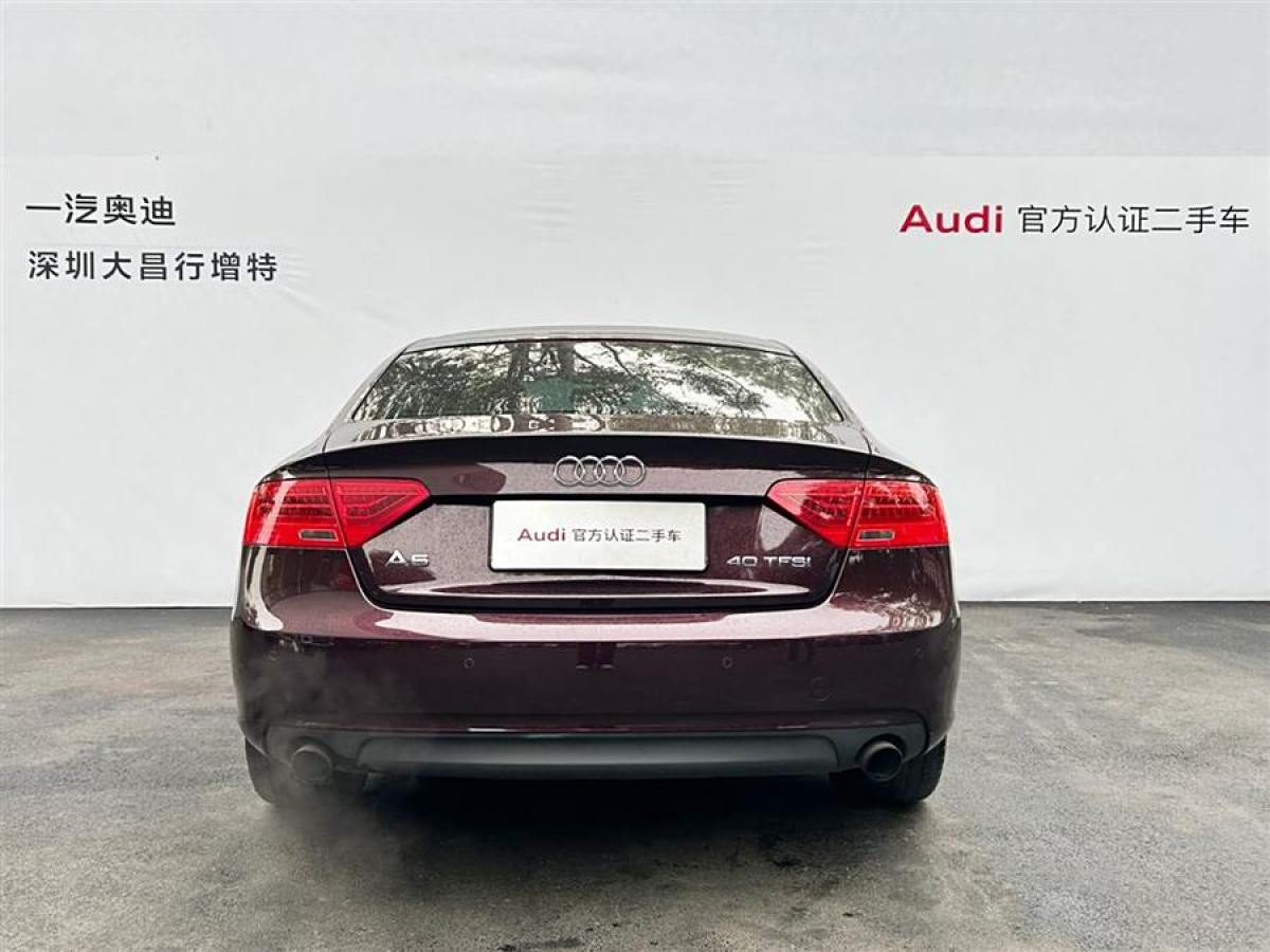 奧迪 奧迪A5  2013款 Sportback 40 TFSI風(fēng)尚版圖片