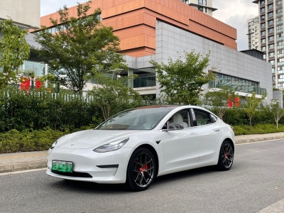 2019年12月 特斯拉 Model 3 Performance高性能全轮驱动版图片