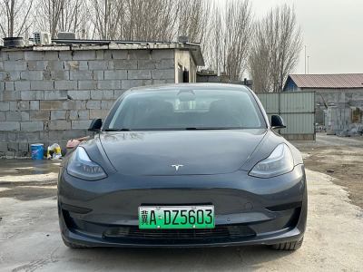 2021年3月 特斯拉 Model 3 改款 標(biāo)準(zhǔn)續(xù)航后驅(qū)升級(jí)版圖片