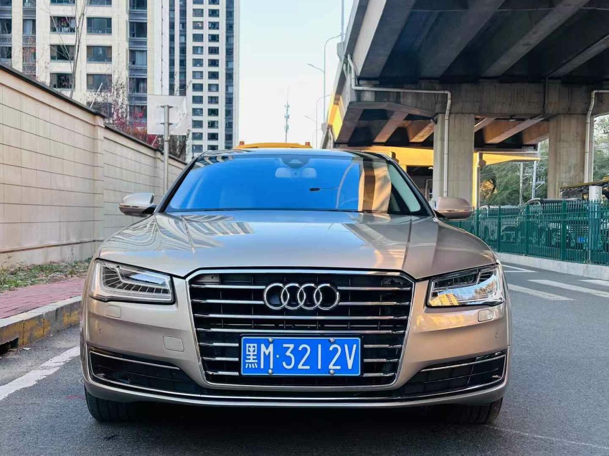 奧迪 奧迪A8  2011款 A8L W12 6.3 FSI quattro圖片