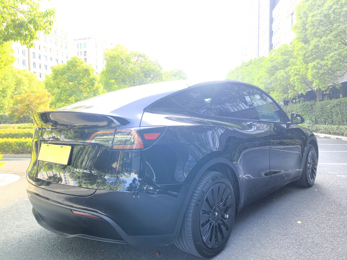 特斯拉 Model Y  2022款 改款 后輪驅(qū)動(dòng)版圖片