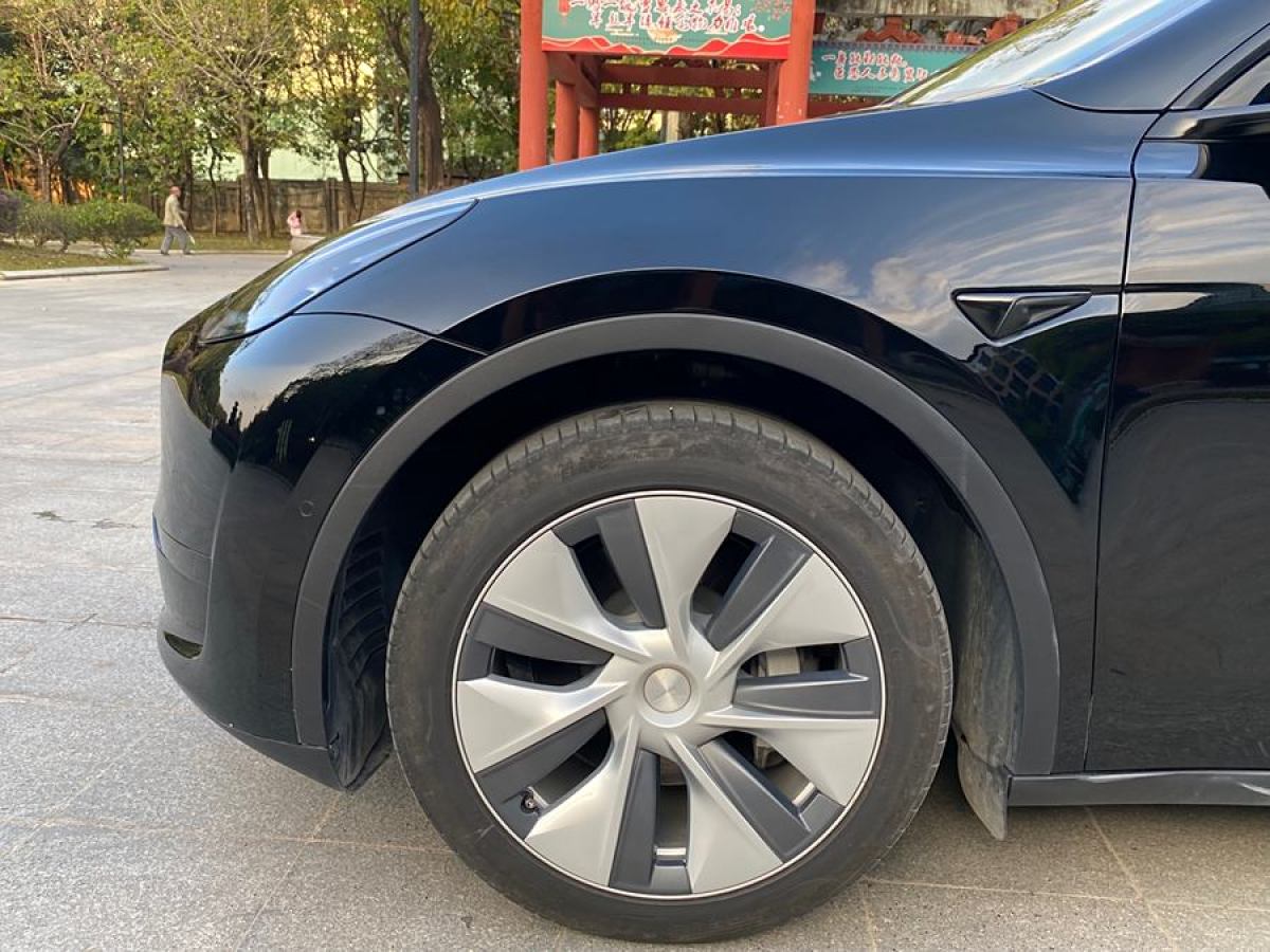 特斯拉 Model 3  2020款 改款 長續(xù)航后輪驅(qū)動(dòng)版圖片