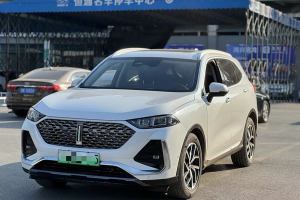 拿鐵DHT-PHEV WEY 1.5T 四驅(qū)超大杯