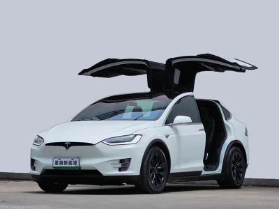 2020年8月 特斯拉 Model X 长续航版图片