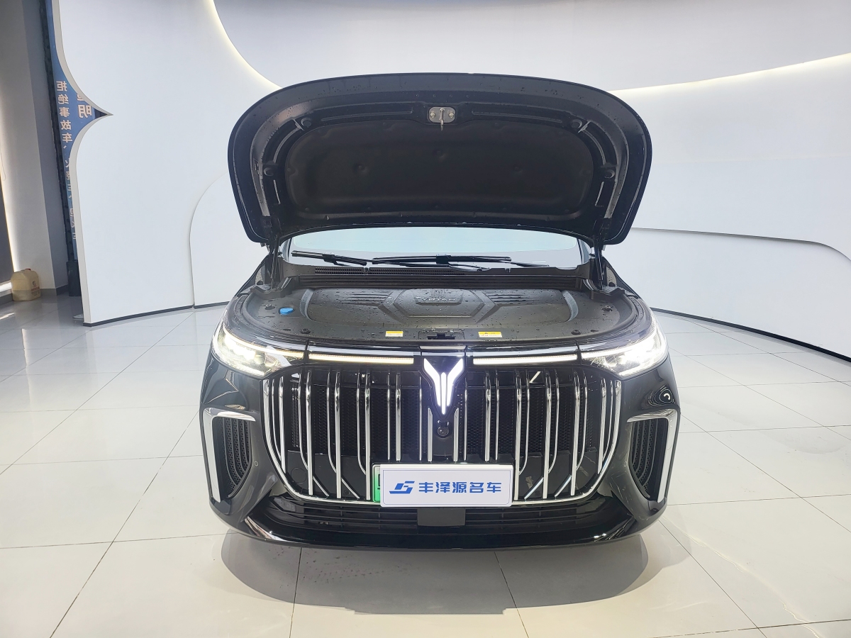 嵐圖 夢想家  2024款 PHEV 超長續(xù)航尊貴版圖片