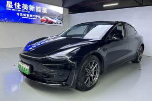 Model 3 特斯拉 改款 標(biāo)準(zhǔn)續(xù)航后驅(qū)升級(jí)版