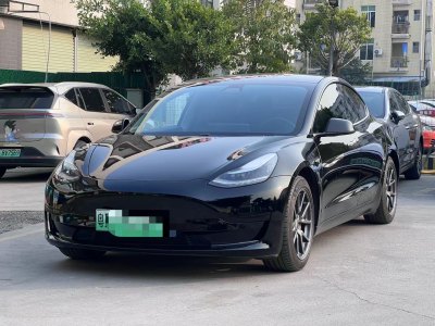 2020年11月 特斯拉 Model 3 標(biāo)準(zhǔn)續(xù)航后驅(qū)升級(jí)版圖片