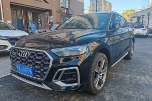 奥迪Q5L 奥迪 45 TFSI 豪华动感型