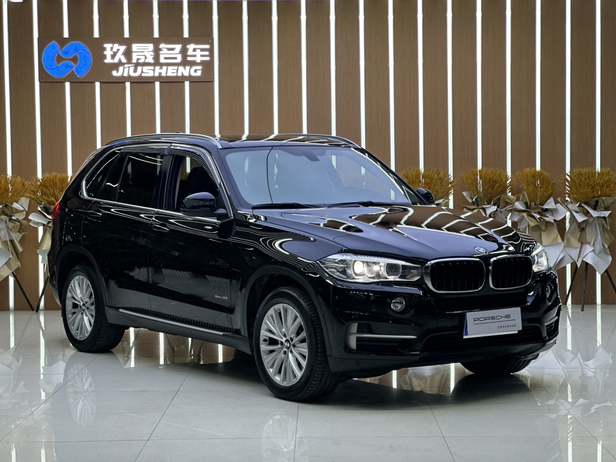 寶馬 寶馬X5  2014款 xDrive35i 領(lǐng)先型圖片