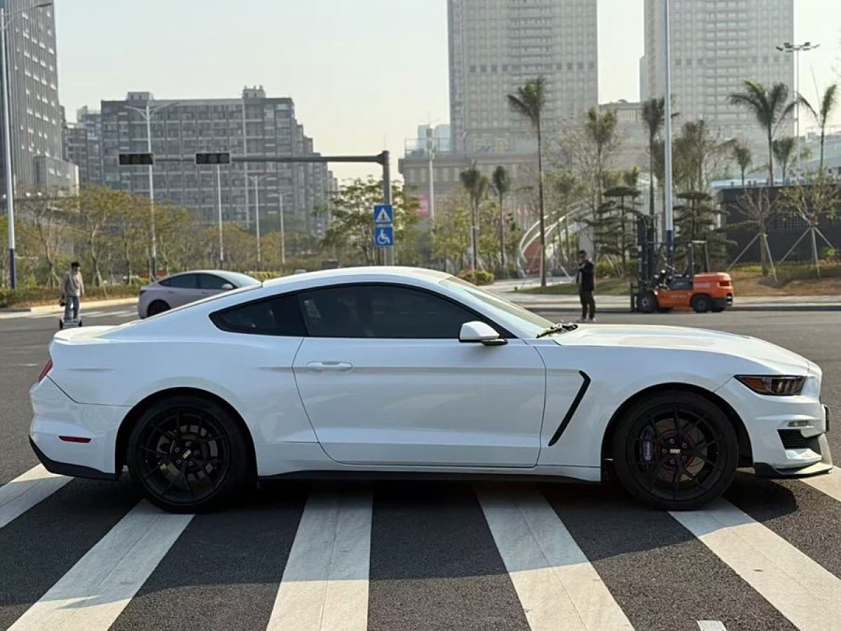 福特 Mustang  2017款 2.3T 性能版圖片