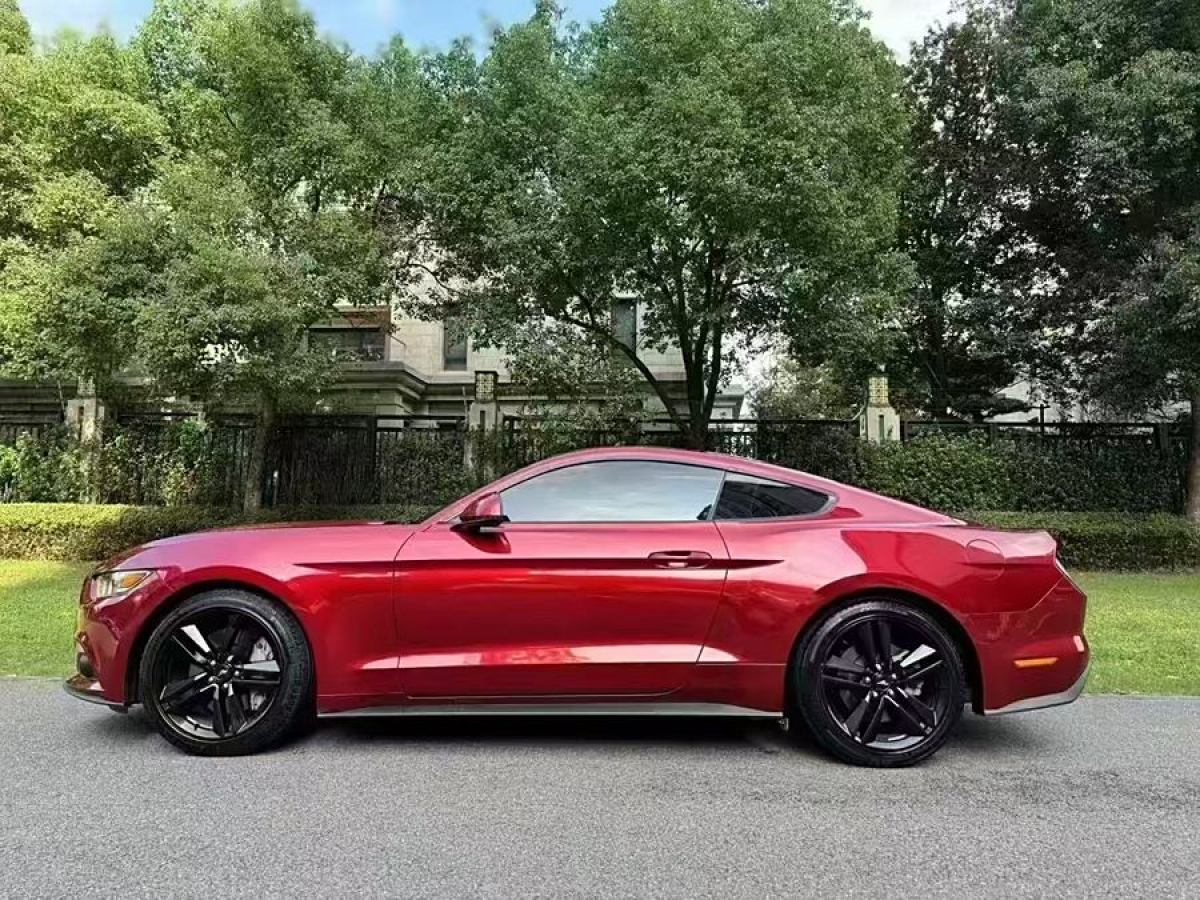 福特 Mustang  2015款 2.3T 性能版圖片