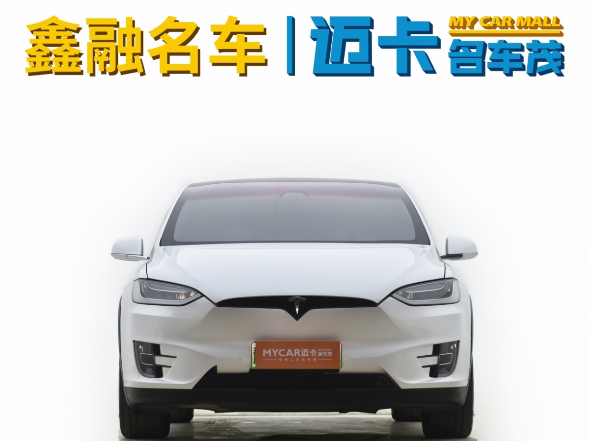 特斯拉 Model X  2017款 Model X 100D 長續(xù)航版圖片