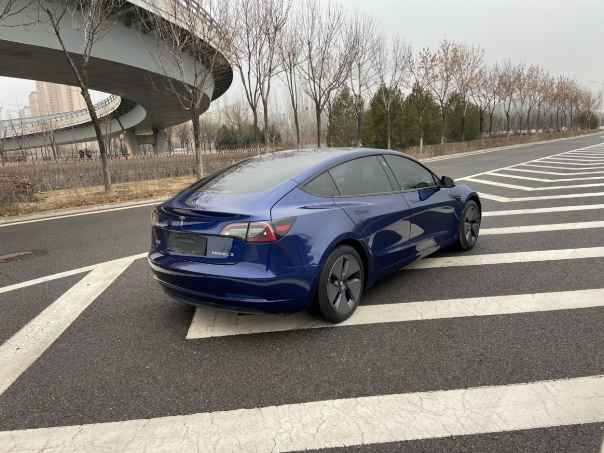 2021年01月特斯拉 Model 3  2019款 標(biāo)準(zhǔn)續(xù)航后驅(qū)升級(jí)版