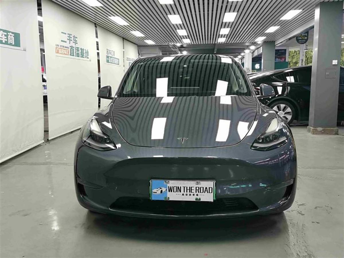 2021年2月特斯拉 Model 3  2021款 改款 長(zhǎng)續(xù)航全輪驅(qū)動(dòng)版