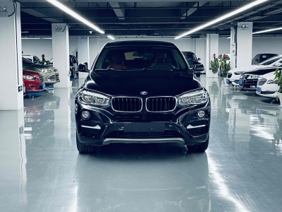 2019年1月 寶馬 寶馬X6(進口) xDrive35i 豪華型圖片