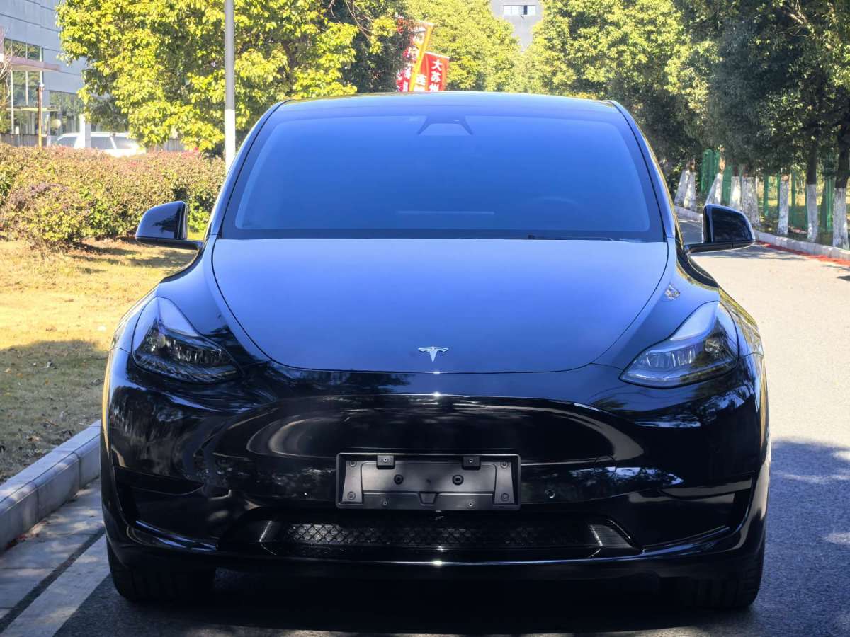 特斯拉 Model 3  2021款 改款 標(biāo)準(zhǔn)續(xù)航后驅(qū)升級版圖片