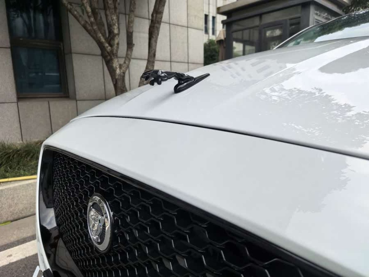 捷豹 XJ  2016款 XJL 3.0 SC 兩驅(qū)典雅商務(wù)版圖片