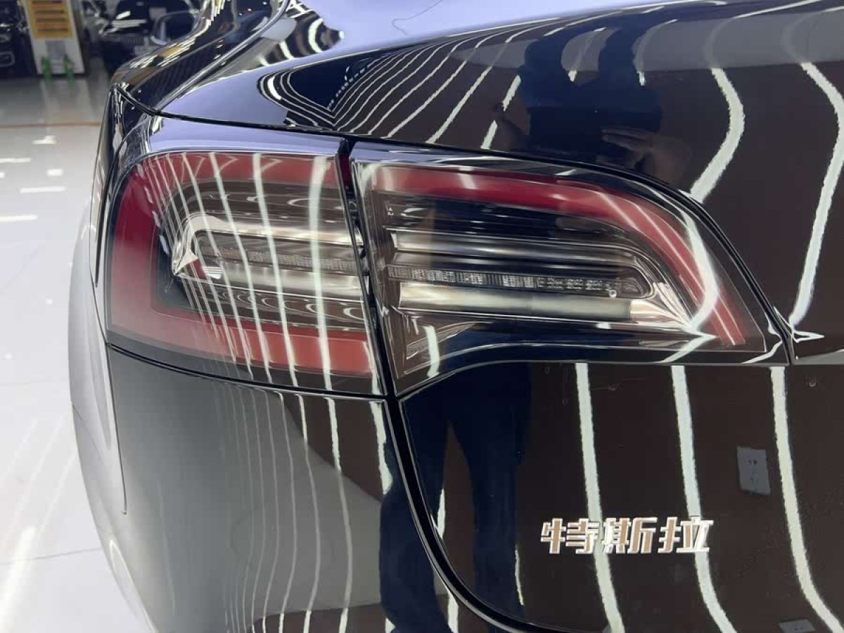 特斯拉 Model 3  2020款 改款 標準續(xù)航后驅(qū)升級版圖片