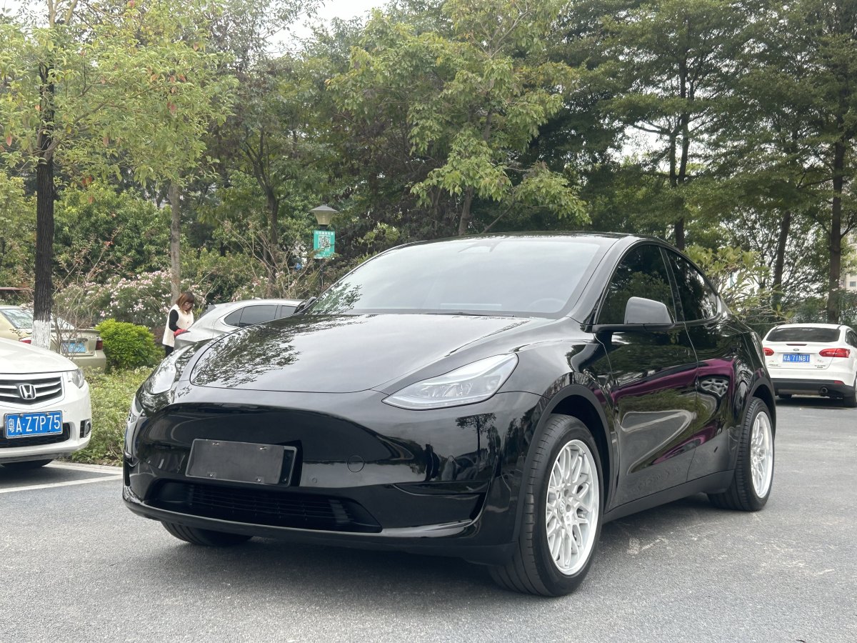 特斯拉 Model 3  2023款 煥新版 后輪驅(qū)動圖片