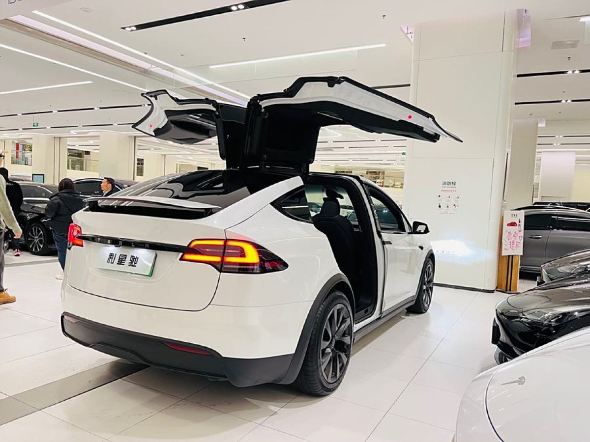 特斯拉 Model X  2023款 雙電機(jī)全輪驅(qū)動版圖片