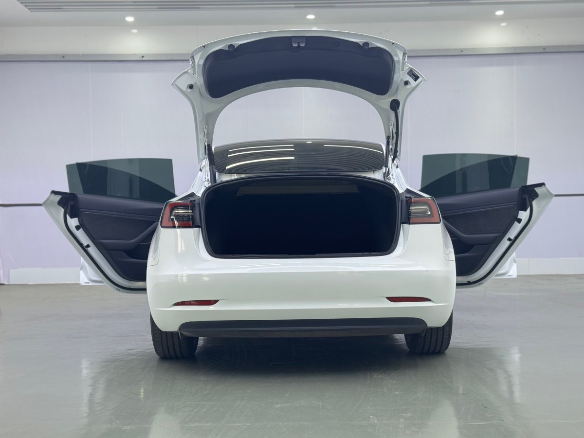 特斯拉 Model 3  2019款 標(biāo)準(zhǔn)續(xù)航后驅(qū)升級版圖片