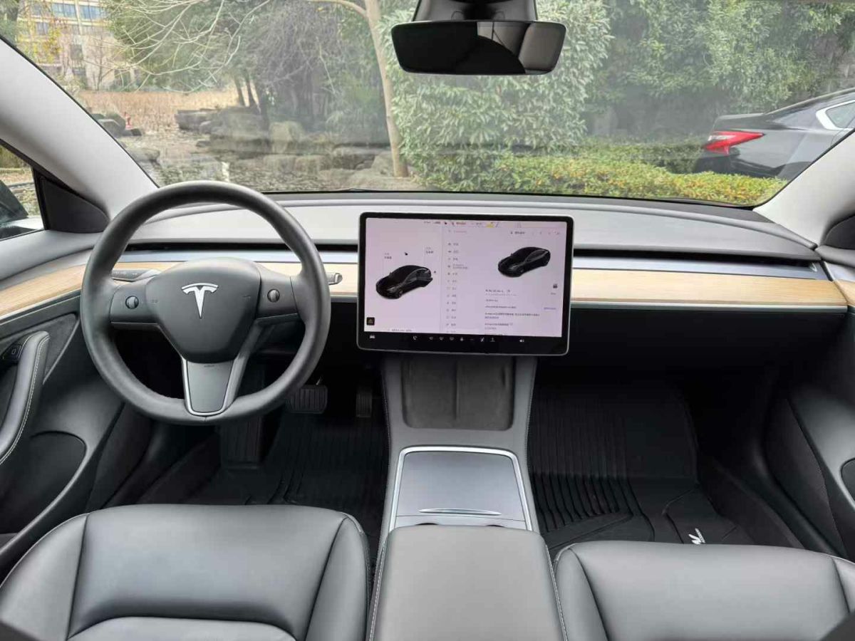 特斯拉 Model 3  2022款 Performance高性能全輪驅動版圖片