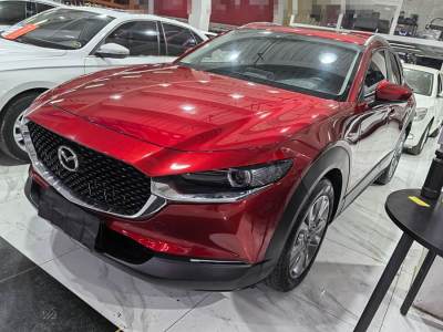 2021年3月 馬自達(dá) CX-30 2.0L 自動(dòng)嘉悅型圖片