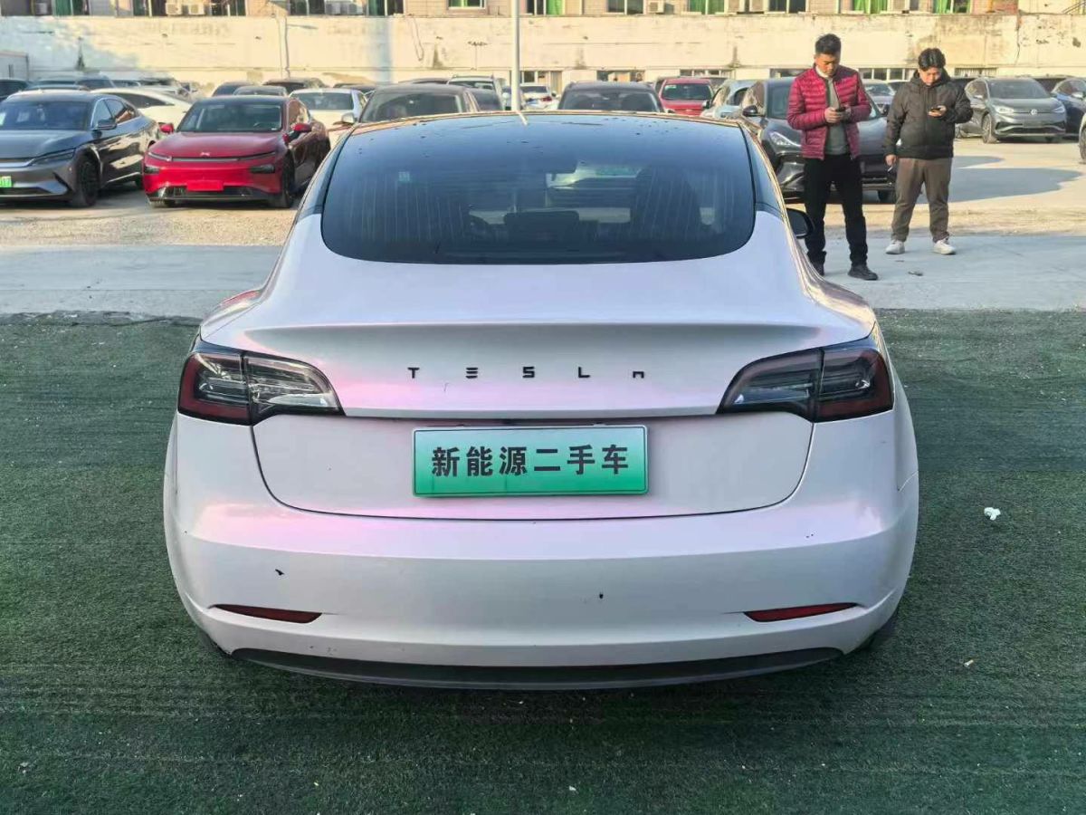 特斯拉 Model X  2020款 Performance 高性能版圖片