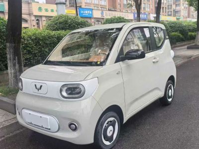 2025年5月 五菱 菱勢(shì)黃金小卡 倉(cāng)柵 頂配版圖片