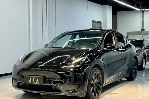 Model Y 特斯拉 改款 后輪驅(qū)動(dòng)版