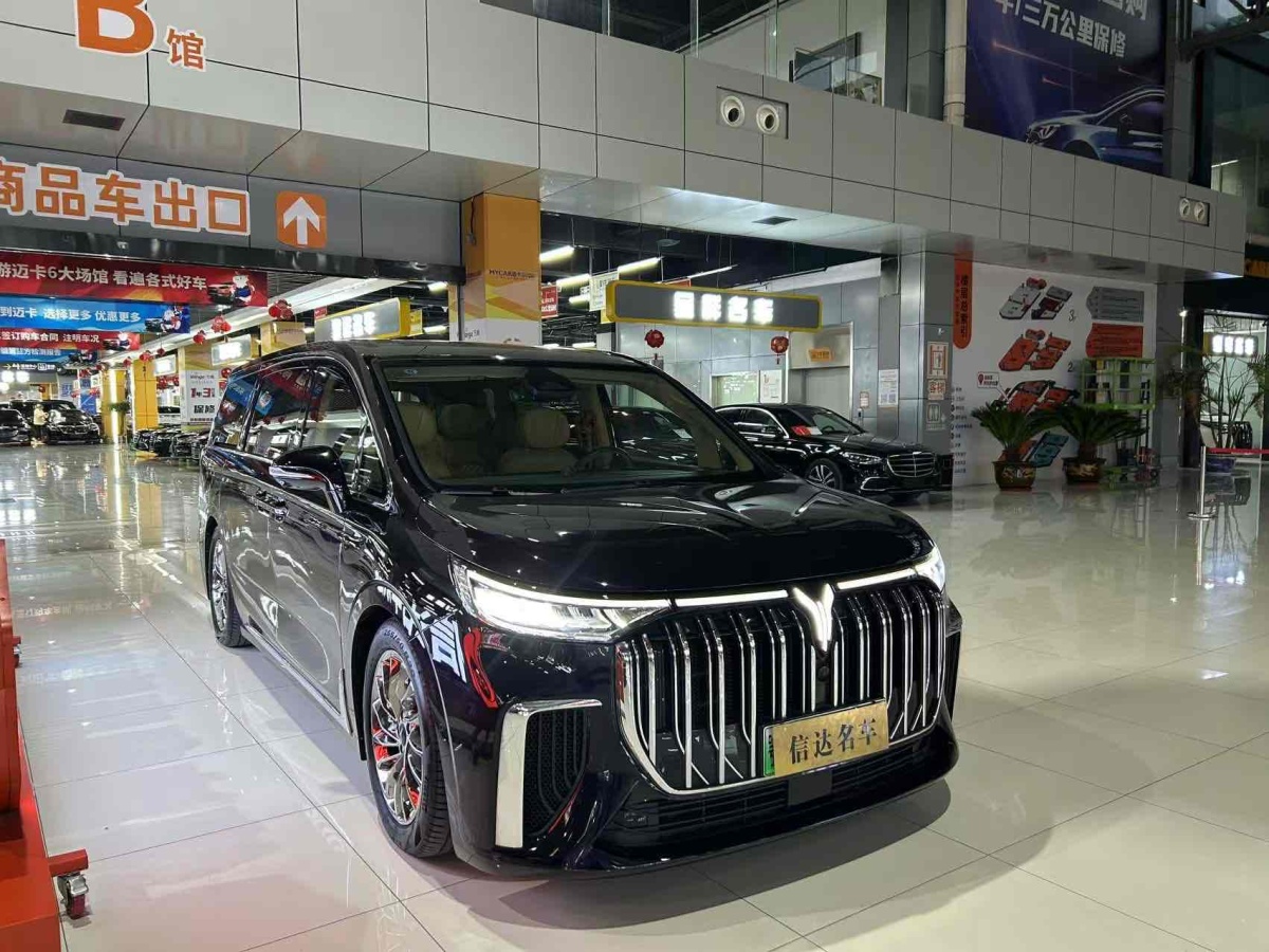 嵐圖 夢想家  2024款 PHEV 超長續(xù)航旗艦版圖片