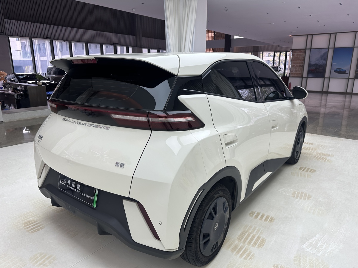 比亞迪 海鷗  2023款 活力版圖片