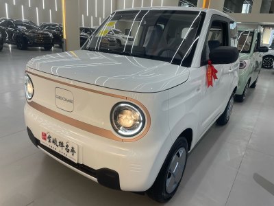 2024年12月 吉利 熊貓mini 200km 耐力熊圖片