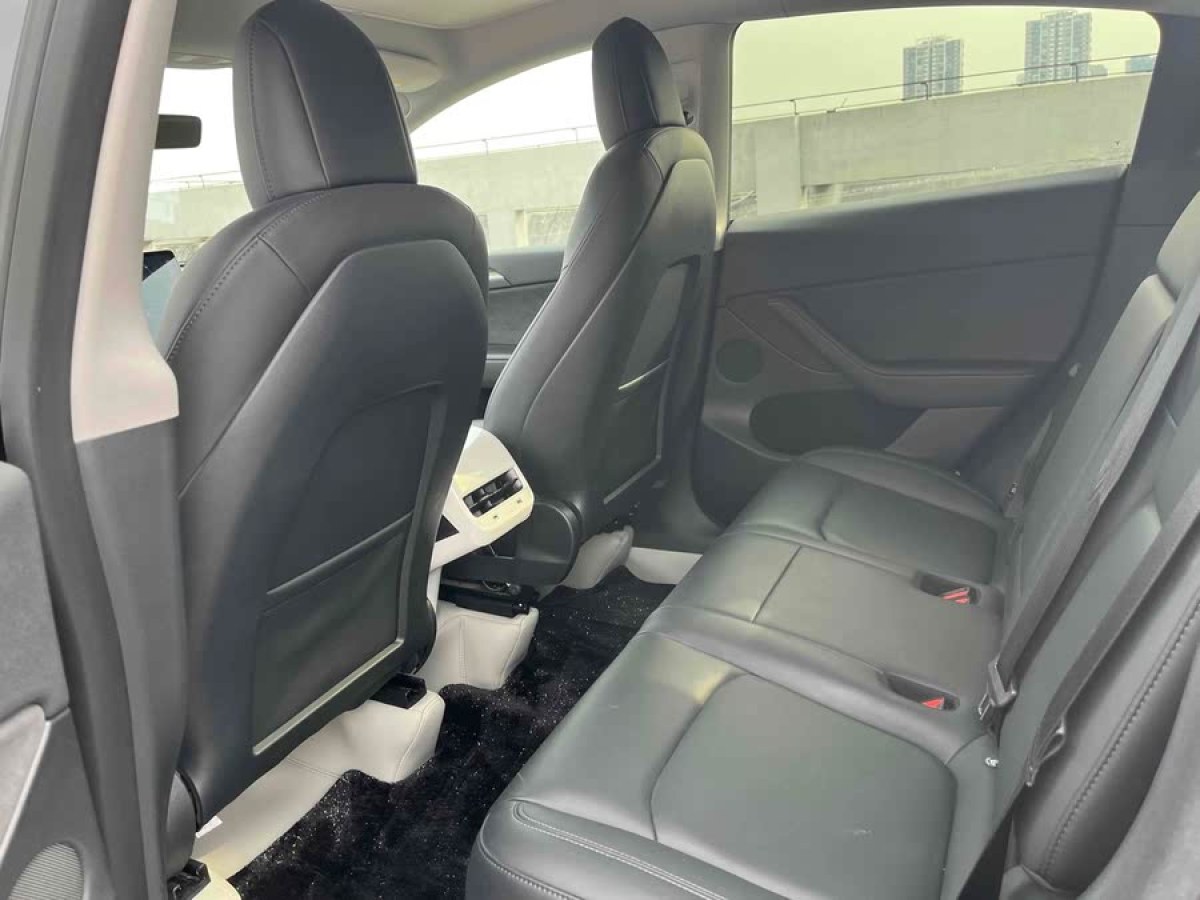 特斯拉 Model Y  2021款 改款 長(zhǎng)續(xù)航全輪驅(qū)動(dòng)版圖片