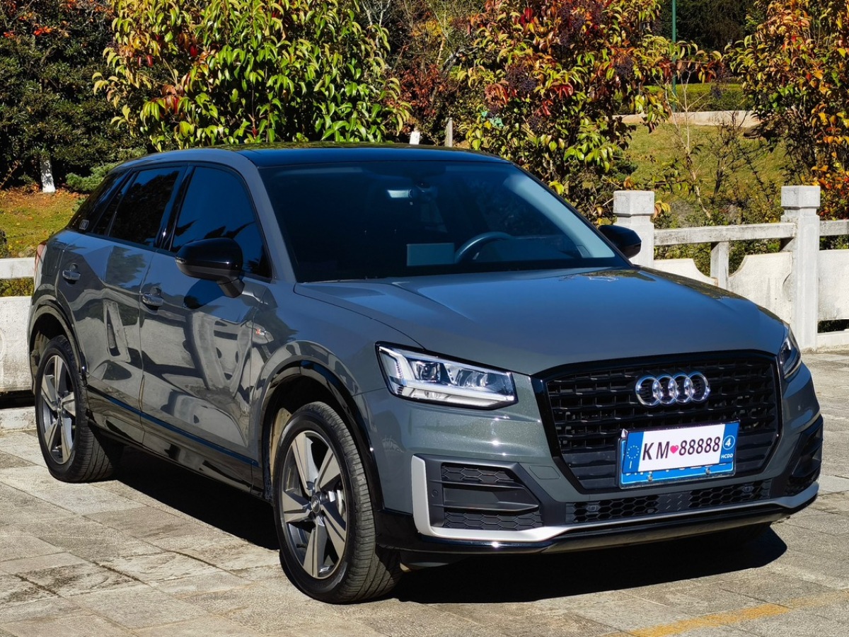 奧迪 奧迪Q2L  2021款 35 TFSI 進(jìn)取動感型圖片