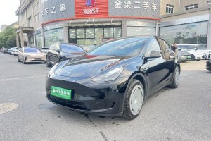 Model Y 特斯拉 后輪驅(qū)動(dòng)版