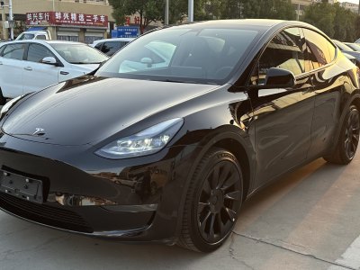 2023年5月 特斯拉 Model Y 長(zhǎng)續(xù)航煥新版 雙電機(jī)全輪驅(qū)動(dòng)圖片