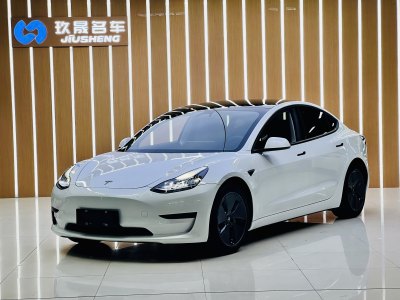 2021年2月 特斯拉 Model 3 標(biāo)準(zhǔn)續(xù)航后驅(qū)升級(jí)版圖片