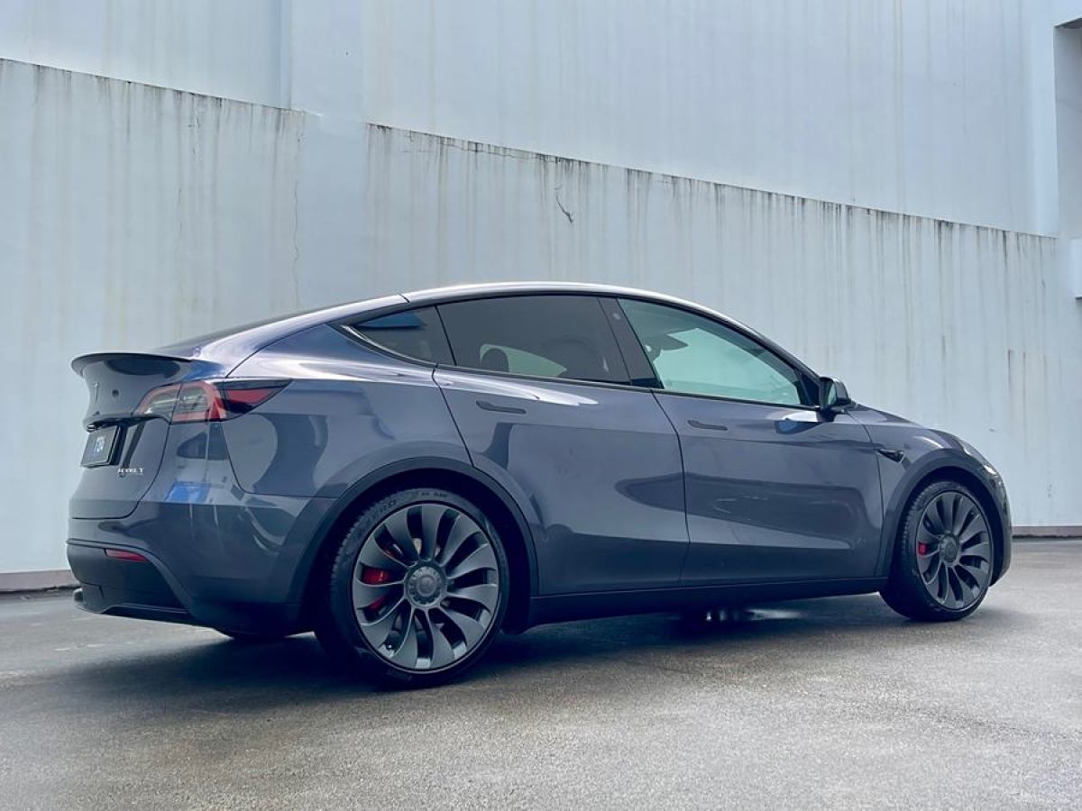 特斯拉 Model Y  2022款 Performance高性能全輪驅(qū)動版圖片